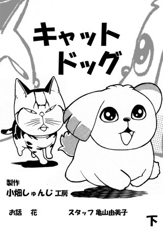 キャットドッグ下