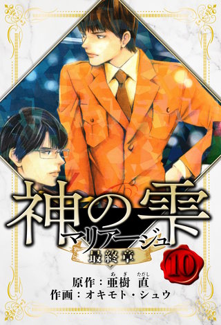 マリアージュ ～神の雫 最終章～　愛蔵版　10
