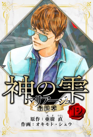 マリアージュ ～神の雫 最終章～　愛蔵版　12