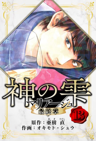 マリアージュ ～神の雫 最終章～　愛蔵版　13