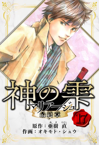 マリアージュ ～神の雫 最終章～　愛蔵版　17