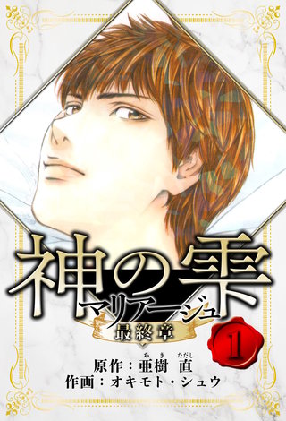 マリアージュ ～神の雫 最終章～　愛蔵版