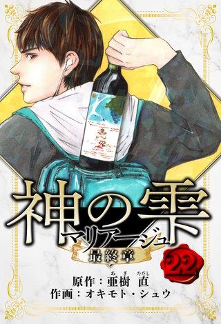マリアージュ ～神の雫 最終章～　愛蔵版　22