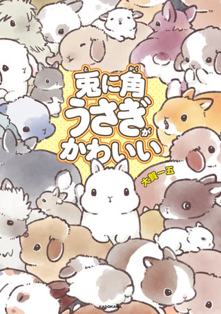 兎に角うさぎがかわいい