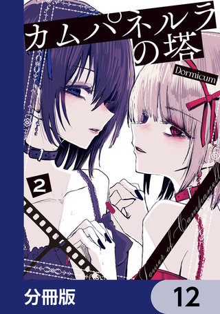 カムパネルラの塔【分冊版】 12