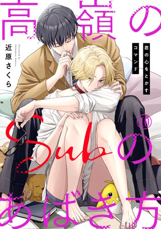 高嶺のSubのあばき方～君の心をとかすコマンド～10