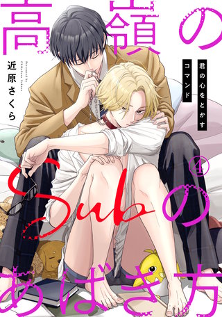 高嶺のSubのあばき方～君の心をとかすコマンド～4