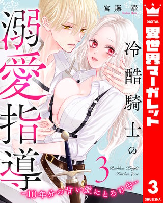 冷酷騎士の溺愛指導 -10年分の甘い愛にとろけ中- 3