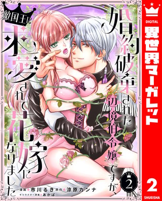 婚約破棄された辺境伯令嬢ですが、敵国王に求愛されて花嫁になりました 2