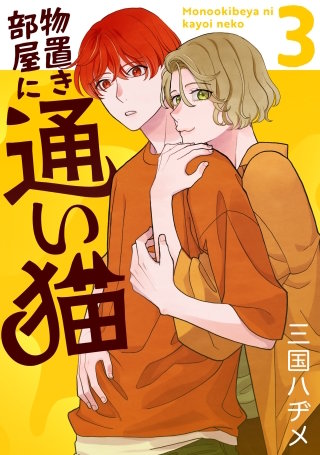 物置き部屋に通い猫(3)【おまけ描き下ろし付き】