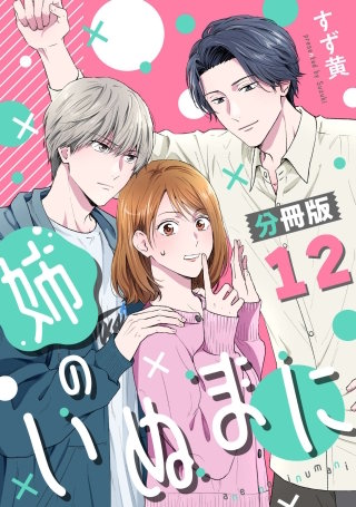 姉のいぬまに【分冊版】(12)