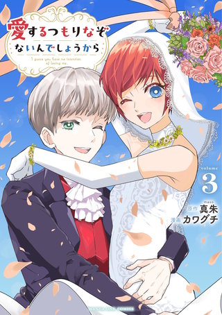 愛するつもりなぞないんでしょうから(3)