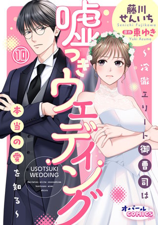 嘘つきウェディング～冷徹エリート御曹司は本当の愛を知る～１０