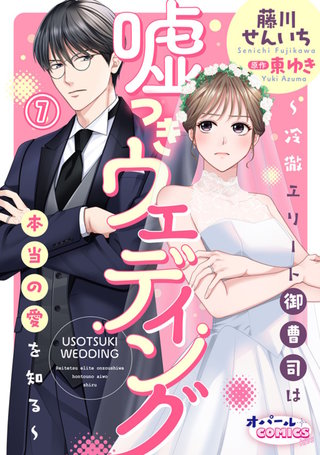 嘘つきウェディング～冷徹エリート御曹司は本当の愛を知る～７