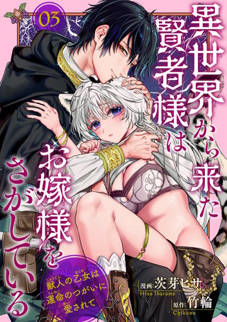 異世界から来た賢者様はお嫁様をさがしている　獣人の乙女は運命のつがいに愛されて 【短編】3