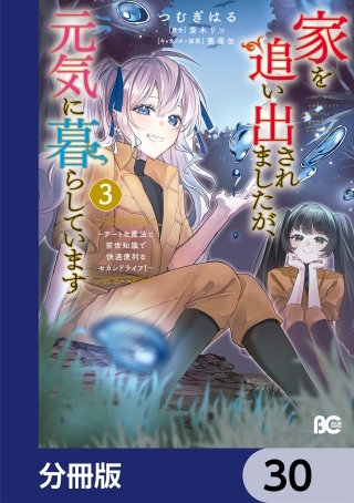 家を追い出されましたが、元気に暮らしています　～チートな魔法と前世知識で快適便利なセカンドライフ！～【分冊版】　30
