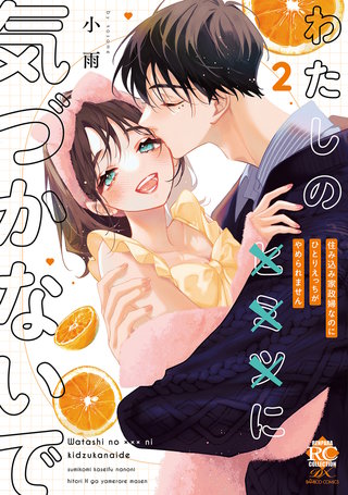 わたしの×××に気づかないで 住み込み家政婦なのにひとりえっちがやめられません【電子限定特典付き】 (2)