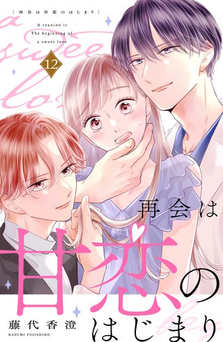 再会は甘恋のはじまり 分冊版(12)