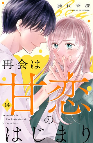 再会は甘恋のはじまり 分冊版(14)