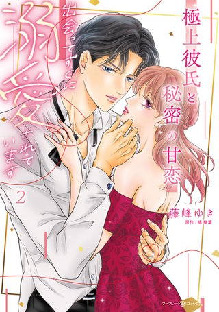 極上彼氏と秘密の甘恋～出会ってすぐに溺愛されています～ ２