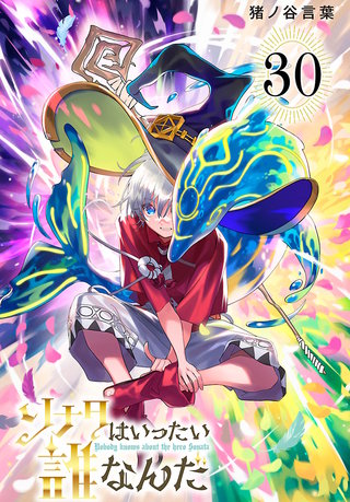 ソナタはいったい誰なんだ(話売り)(30)