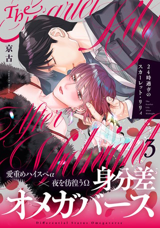 24時過ぎのスカーレット・リリィ(3)