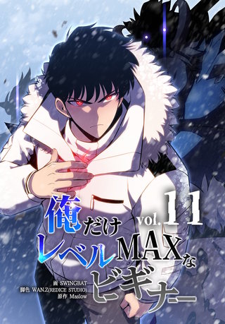 俺だけレベルMAXなビギナー(11)