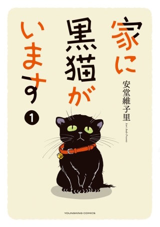 家に黒猫がいます