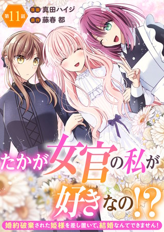 たかが女官の私が好きなの！？　婚約破棄された姫様を差し置いて、結婚なんてできません！11