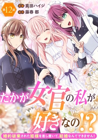 たかが女官の私が好きなの！？　婚約破棄された姫様を差し置いて、結婚なんてできません！12