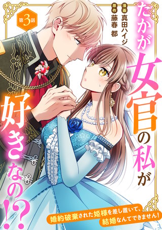 たかが女官の私が好きなの!?　婚約破棄された姫様を差し置いて、結婚なんてできません！3