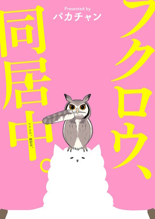 13巻  フクロウ、同居中。