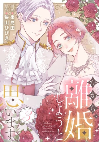 だから、離婚しようと思います(3)【おまけ描き下ろし付き】