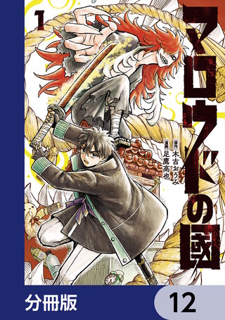 マロウドの國【分冊版】　12