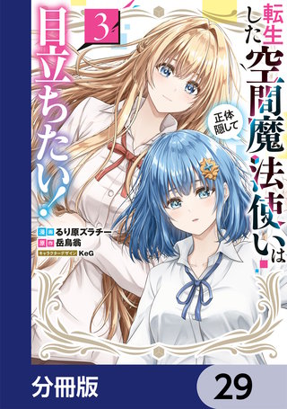 転生した空間魔法使いは正体隠して目立ちたい！【分冊版】　29