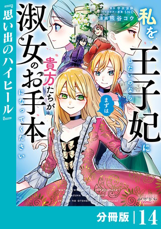 私を王子妃にしたいのならまずは貴方たちが淑女のお手本になってください【分冊版】 (ラワーレコミックス)(14)