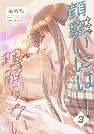 顔整いには理解らない(3)