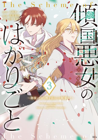 傾国悪女のはかりごと～初夜に自白剤を盛るとは何事か！～(3)