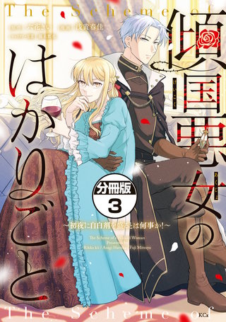 傾国悪女のはかりごと～初夜に自白剤を盛るとは何事か！～ 分冊版(3)