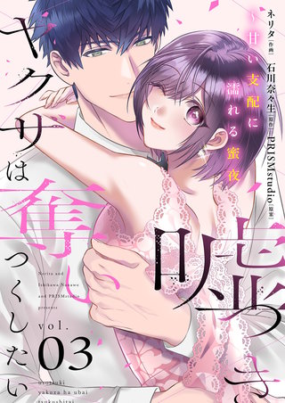 嘘つきヤクザは奪いつくしたい～甘い支配に濡れる蜜夜【描き下ろしおまけ付き特装版】 3巻