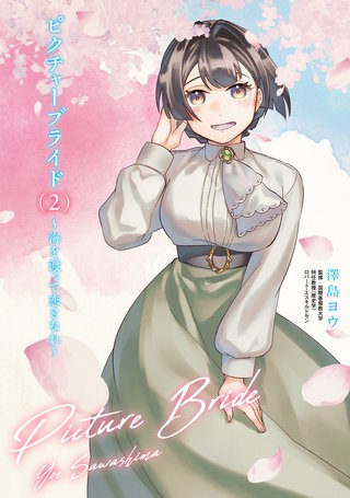 ピクチャーブライド　２　～海を渡って恋となれ～