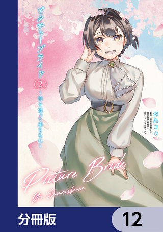 ピクチャーブライド【分冊版】　12