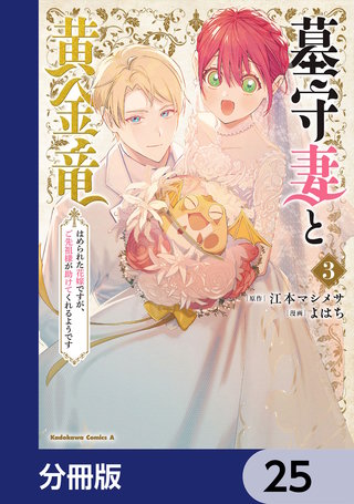墓守妻と黄金竜　はめられた花嫁ですが、ご先祖様が助けてくれるようです【分冊版】　25