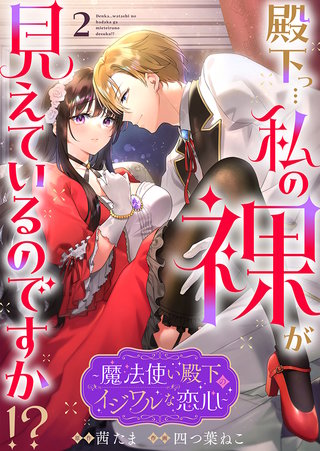殿下っ…私の裸が見えているのですか!? ～魔法使い殿下のイジワルな恋心～(2)