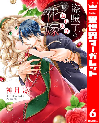 盗賊王のおしのび花嫁 6