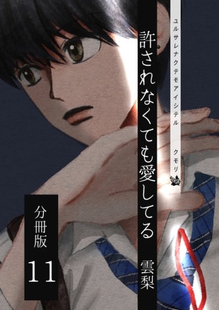 許されなくても愛してる 分冊版(11)