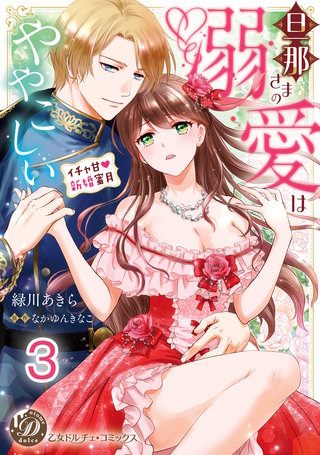 旦那さまの溺愛はややこしい～イチャ甘新婚蜜月～【分冊版】3