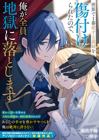 世界で1番愛する義姉を傷付けられたので、俺が全員地獄に落とします