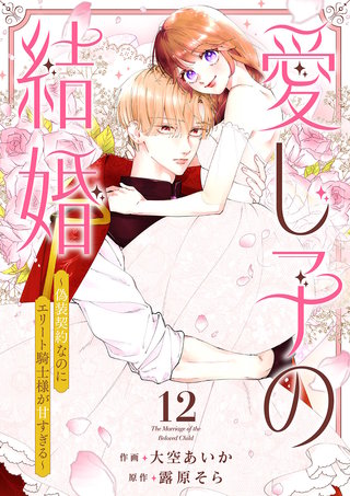 愛し子の結婚～偽装契約なのにエリート騎士様が甘すぎる～１２