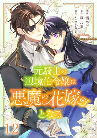 元騎士の辺境伯令嬢は悪魔の花嫁となる１２